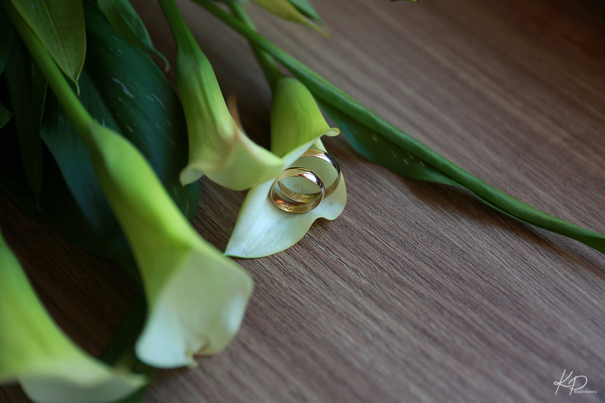 Foto de K&aacute;tia Pinheiro 6